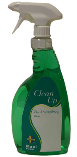 Clean Up, punktrengöring